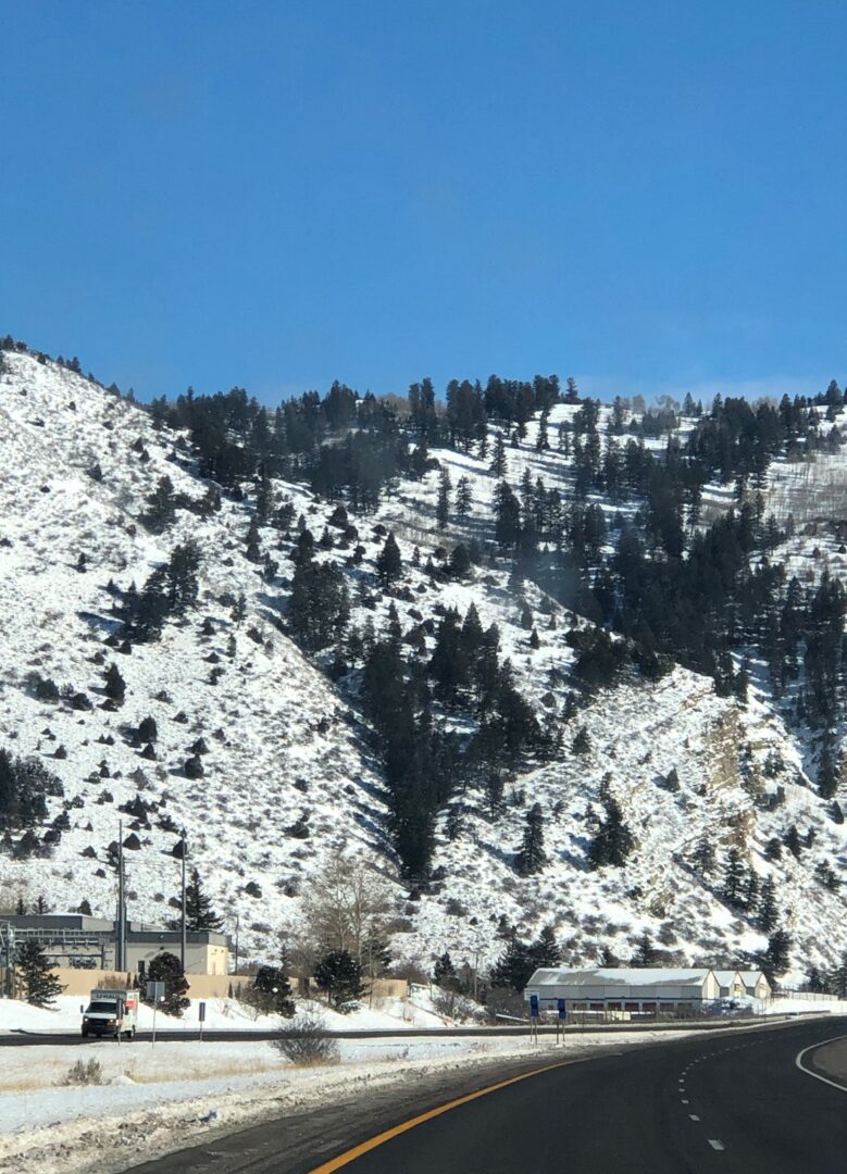 A mountain with snow on it and trees in the background