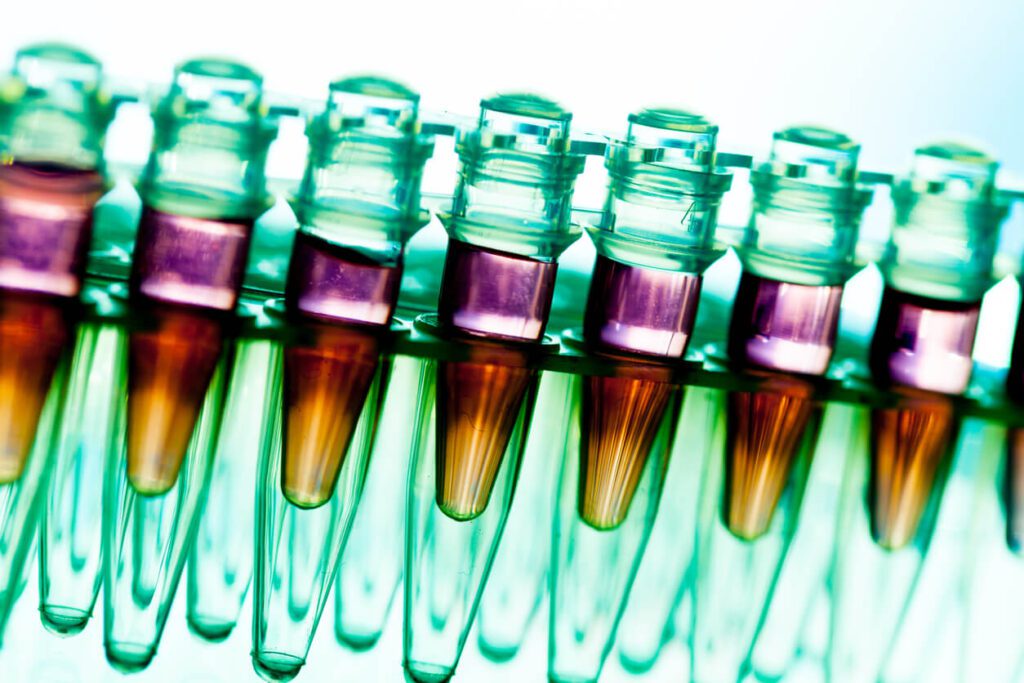 A row of green and brown glass bottles.