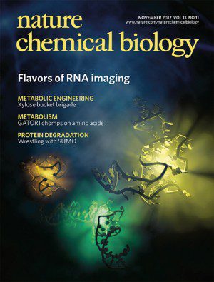 Nature Chemical Biology cover: RNA imaging.